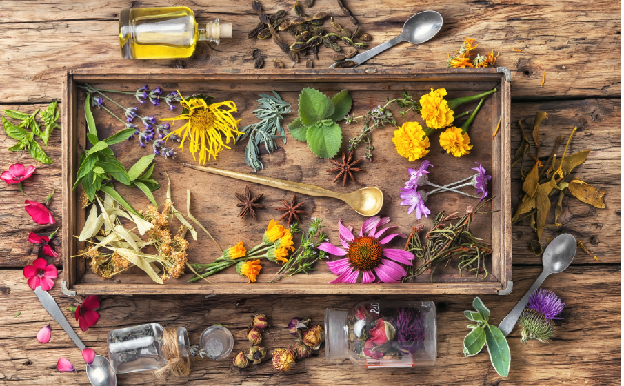 Herbs to Help You Unwind and Relax 