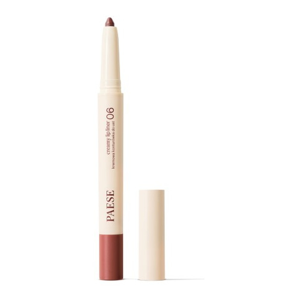 Paese Tasty Lips Creamy Lip Liner 06 Crown Brown 0.6g