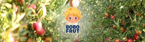 Bobo Frut Nektar Owocowy Jabłko Mango Banan dla Niemowląt po 6 Miesiącu Życia 300ml
