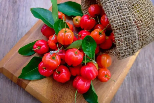 EkaMedica Efime Acerola Forte for Immune Support 60 Capsules 
