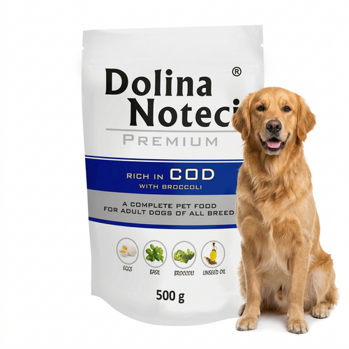Dolina Noteci Premium Wet Food with Cod and Broccoli for Adult Dogs of All Breeds 500g