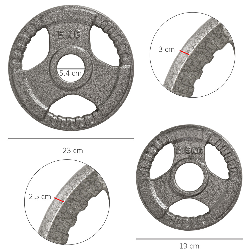 HOMCOM Set of 4 Cast Iron Weight Plate for 2 inch/5cm hole Dumbbell Handle Bar 15kg Dumbbell Plates Barbell Weight 2 x 5kg, 2 x 2.5kg