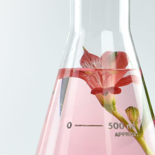 Miya BeautyLab Smoothing Serum with Anti-Ageing Complex 5% 30ml