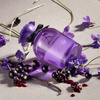 Dolce & Gabbana Dolce Violet Eau de Toilette for Women Spray 50ml