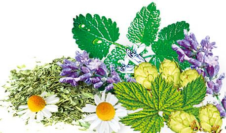 Malwa Fito Apteka Peace and Relax Herbal Tea with Melissa Chamomile and Lavender 20x2g