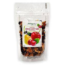 Herbapol Herbatka Owocowo-Ziołowa Owocowy Sad z Czarną Porzeczką i Rodzynkami 100g