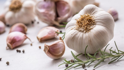 Olimp Garlic Max Natural Support for the Circulatory and Immune System 60 Capsules Best Before 05.07.26