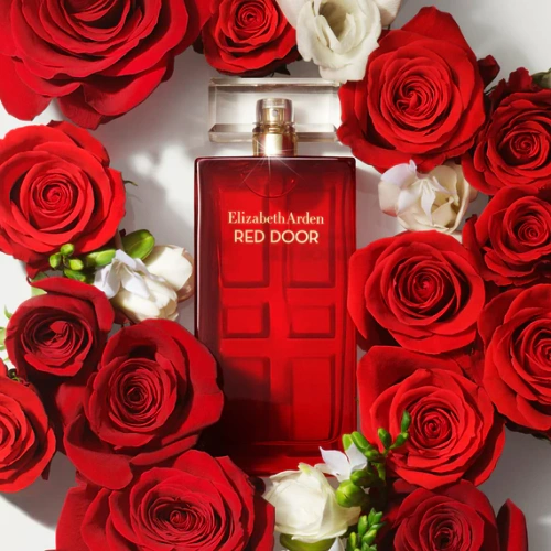 Elizabeth Arden Red Door Eau de Toilette for Women Spray 100ml
