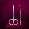 Staleks Pro Exclusive 22 Type 1 Magnolia Cuticle Scissors Precision Manicure SX-22/1m