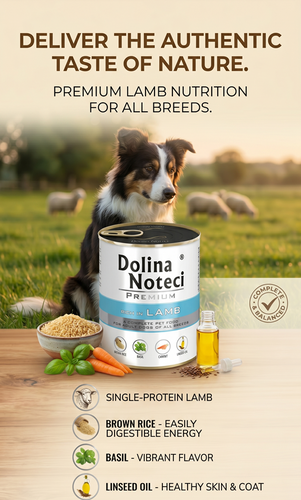 Dolina Noteci Premium Wet Food with Lamb for Adult Dogs of All Breeds 800g