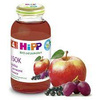 Hipp Bio Juice Apple-Red Fruit for Babies after 4 Months 200ml