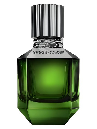 Roberto Cavalli Paradise Found Woda Toaletowa dla Mężczyzn Spray 50ml 
