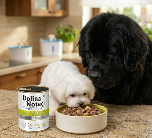 Dolina Noteci Premium Wet Food Goose with Potatoes for Adult Dogs of All Breeds 800g