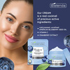 Bielenda Blueberry C Tox Moisturizing Brightening Foam Cream 40g