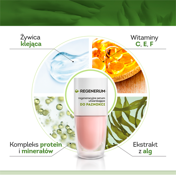 Regenerum Regeneracyjne Serum Utwardzające do Paznokci w Lakierze 8ml