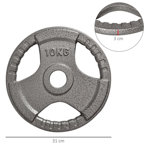 HOMCOM Set of 2 Cast Iron Weight Plates for 2 inch/5cm Hole Dumbbell Handle Bar, 20kg Dumbbell Plates Barbell Weight 2 x 10kg