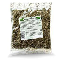 Herbapol Babka Lancetowata Herbatka Ziołowa na Odporność i Oczyszczanie Organizmu 50g