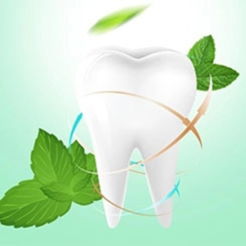 Tolpa Dentica Anti-Caries Toothpaste Fresh Mint 100ml