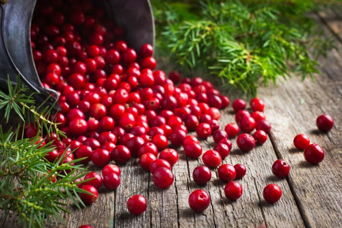 EkaMedica NFC 100% Cranberry Juice with Natural Vitamin C 500ml