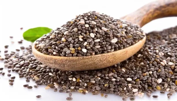 Młyn Kopytowa Chia Seeds 500g