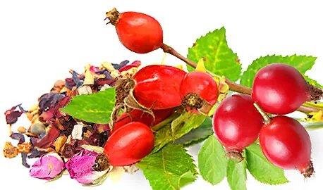 Malwa Natural Taste Fruit Tea with Wild Rose Taste of Nature 80g