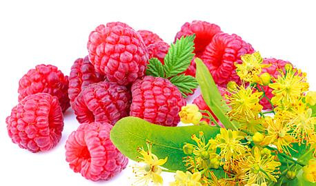 Oleofarm Juices of World Raspberry Juice with Lime 490ml