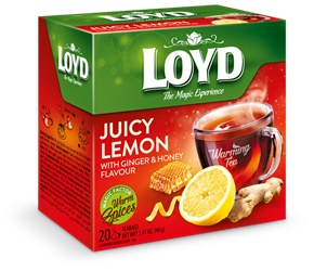Loyd The Magic Experience Rozgrzewająca Aromatyzowana Herbata Ziołowo-Owocowa Imbir Cytryna i Miód 20x2g