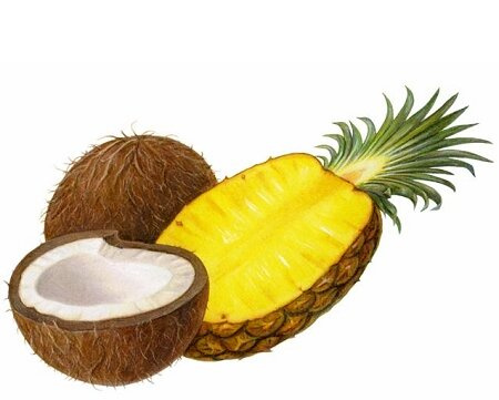 Dobra Kaloria Kulki Ziomki Ananas i Kokos 24g